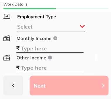 Navi App Loan form work details