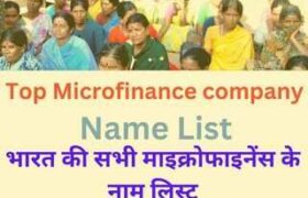 Top Microfinance Companies In India