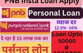 PNB Instant Loan Apply Online